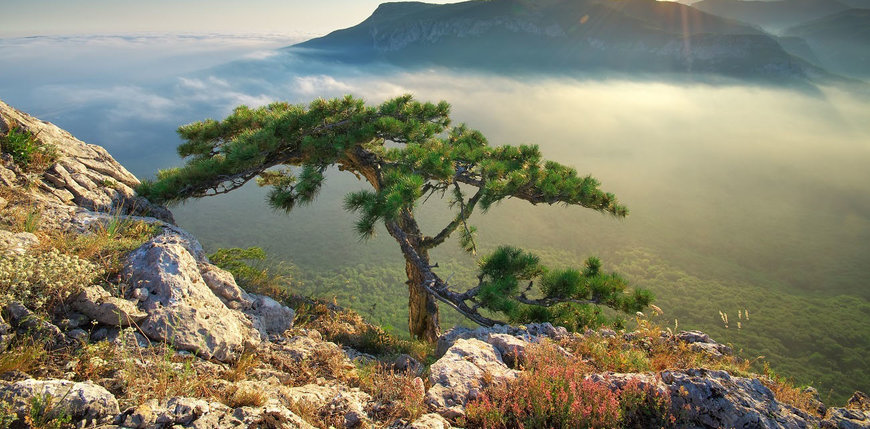 Faurecia selects Schneider Electric as preferred partner for its CO2 Neutral objective